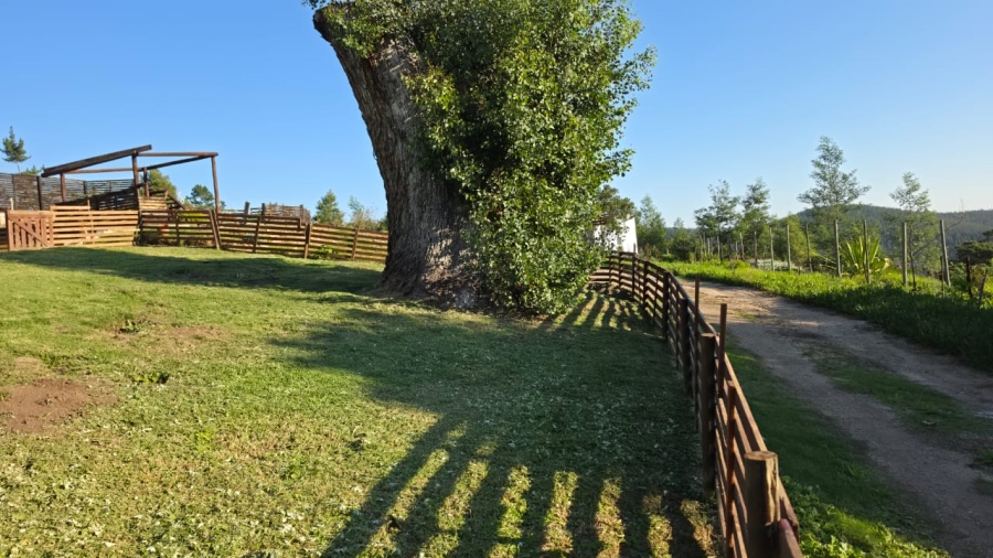 Commercial Property for Sale in Sedgefield Rural Western Cape